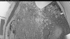 Web Cam Image - Fri, 07/03/2026 3:34am PDT