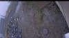 Web Cam Image - Mon, 10/20/2025 9:59am PDT