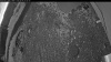 Web Cam Image - Mon, 06/08/2026 3:29am PDT