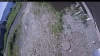 Web Cam Image - Tue, 07/07/2026 9:39am PDT