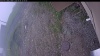 Web Cam Image - Thu, 06/04/2026 9:44am PDT