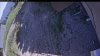 Web Cam Image - Mon, 06/22/2026 2:19pm PDT