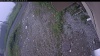 Web Cam Image - Sat, 06/27/2026 7:54am PDT