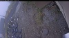 Web Cam Image - Mon, 10/20/2025 9:49am PDT