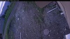 Web Cam Image - Thu, 05/28/2026 4:24am PDT