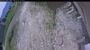 Web Cam Image - Mon, 06/15/2026 11:04am PDT
