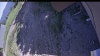 Web Cam Image - Mon, 06/22/2026 2:14pm PDT