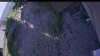 Web Cam Image - Tue, 06/23/2026 4:14pm PDT