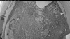 Web Cam Image - Sat, 06/27/2026 8:19pm PDT