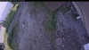 Web Cam Image - Sun, 07/05/2026 6:24pm PDT
