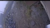 Web Cam Image - Mon, 10/20/2025 9:44am PDT