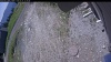 Web Cam Image - Sun, 05/31/2026 10:39am PDT