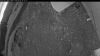 Web Cam Image - Mon, 06/08/2026 3:14am PDT