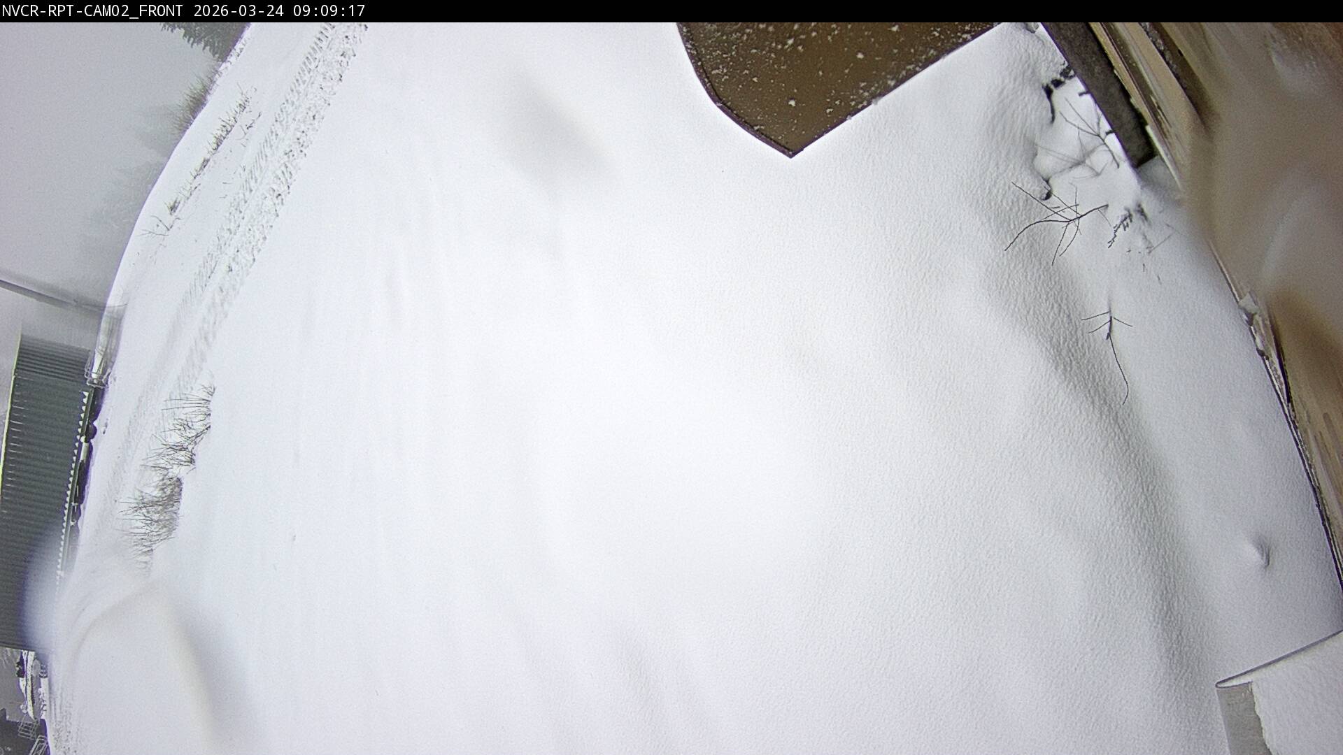 Web Cam History Image - 8