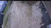 Web Cam Image - Wed, 05/20/2026 11:59am PDT