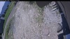Web Cam Image - Mon, 06/01/2026 11:59am PDT