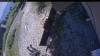 Web Cam Image - Fri, 08/07/2026 12:49pm PDT