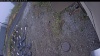 Web Cam Image - Mon, 10/20/2025 9:34am PDT