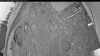 Web Cam Image - Wed, 05/13/2026 5:04am PDT