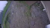 Web Cam Image - Thu, 06/04/2026 9:24am PDT