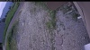 Web Cam Image - Thu, 06/25/2026 5:50pm PDT