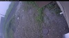 Web Cam Image - Fri, 06/26/2026 6:54pm PDT