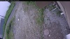 Web Cam Image - Mon, 06/29/2026 9:19am PDT