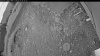 Web Cam Image - Thu, 07/02/2026 3:09am PDT