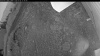 Web Cam Image - Mon, 07/06/2026 8:24pm PDT