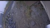 Web Cam Image - Mon, 10/20/2025 9:29am PDT