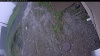 Web Cam Image - Tue, 06/09/2026 6:24am PDT