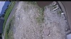 Web Cam Image - Mon, 06/15/2026 10:44am PDT