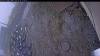 Web Cam Image - Mon, 10/20/2025 9:24am PDT