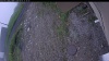 Web Cam Image - Fri, 06/05/2026 10:09am PDT