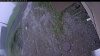 Web Cam Image - Tue, 06/09/2026 6:14am PDT