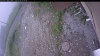Web Cam Image - Sun, 06/28/2026 8:34am PDT