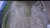 Web Cam Image - Mon, 06/15/2026 10:29am PDT