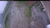 Web Cam Image - Sun, 06/28/2026 8:29am PDT