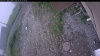 Web Cam Image - Mon, 06/29/2026 8:59am PDT