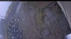 Web Cam Image - Mon, 10/20/2025 9:09am PDT