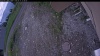 Web Cam Image - Thu, 06/11/2026 11:09am PDT