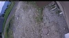 Web Cam Image - Mon, 06/15/2026 10:24am PDT