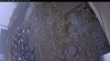 Web Cam Image - Mon, 10/20/2025 9:04am PDT