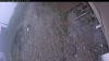 Web Cam Image - Wed, 05/13/2026 4:59pm PDT