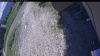 Web Cam Image - Tue, 06/16/2026 11:59am PDT