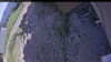 Web Cam Image - Mon, 06/22/2026 1:29pm PDT