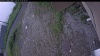 Web Cam Image - Sat, 06/27/2026 7:04am PDT