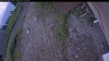Web Cam Image - Fri, 07/03/2026 3:19pm PDT
