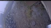 Web Cam Image - Mon, 10/20/2025 8:59am PDT