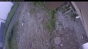 Web Cam Image - Sun, 06/28/2026 8:14am PDT